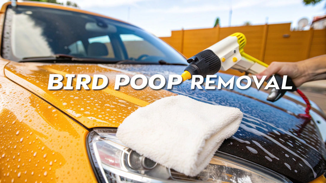How to remove bird poop car: Safe car paint cleaning